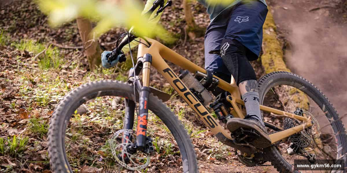 解读完美体育官方网站